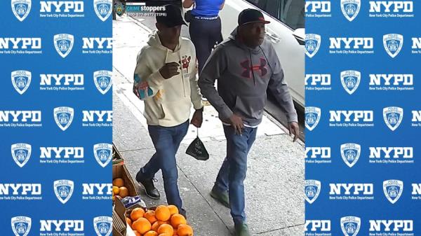 The crooks posed as handymen dispatched to repair a leak when they showed up at the apartment at Courtlandt Avenue and East 150th Street in Mott Haven around 1 p.m. Sept. 20, cops said.